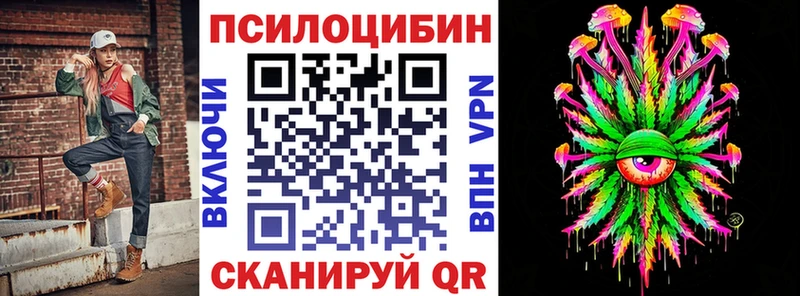 Галлюциногенные грибы Psilocybe  Луга 