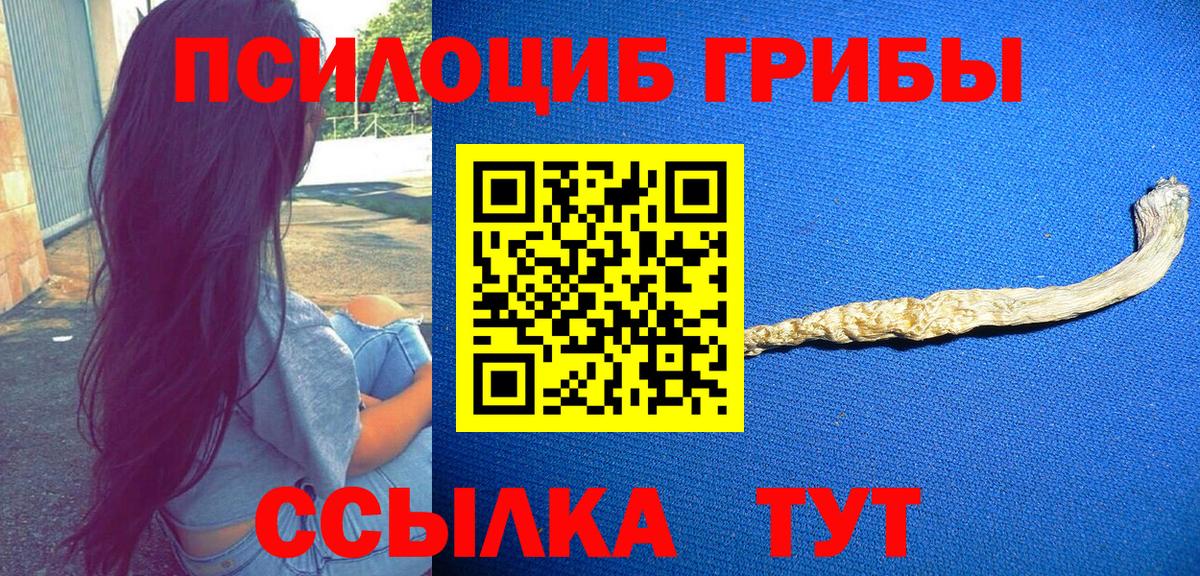 Луга  как найти закладки  Вход с VPN  Псилоцибиновые грибы мухоморы  Галлюциногенные грибы мицелий 
